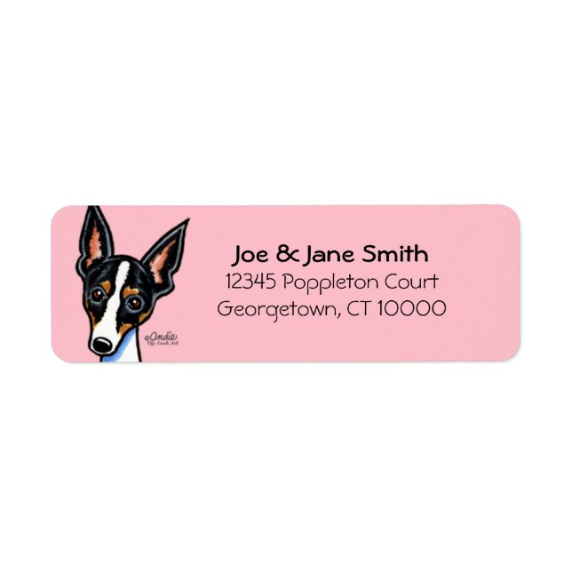 Etiqueta Cor Personalizada do Rat Terrier (Frente)