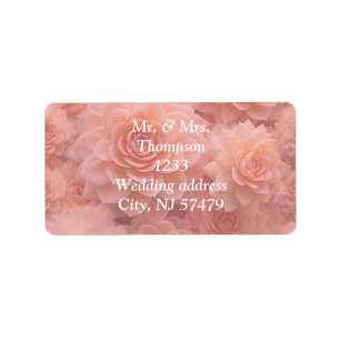 Etiqueta Cores Suculentes de Esmagamento Apricot para 2024