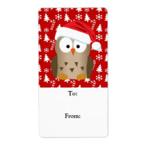 Coruja de Natal com Papai Noel