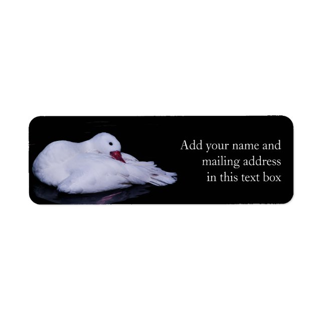 Etiqueta Coscoroba Swan P3442 (Frente)