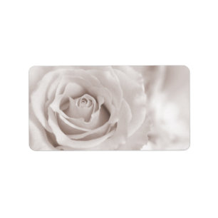 Etiqueta Costume cor-de-rosa branco & de creme do Sepia do