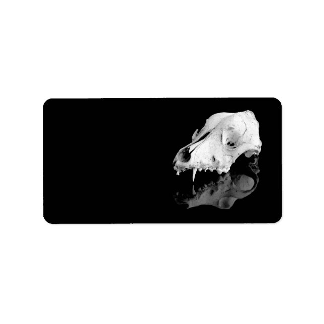 Etiqueta Crânio animal (Frente)