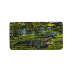 Etiqueta Crocodilos do vintage, animais dos répteis da vid