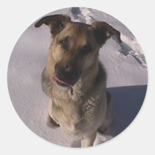 Etiqueta customizável