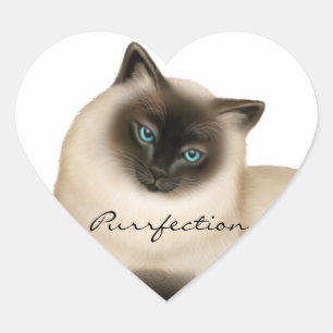 Etiqueta customizável do gato Siamese