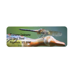 Etiqueta Cute Dragonfly Co Pilot Nature Address