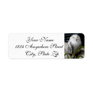 Etiqueta Cute Snowy Owl