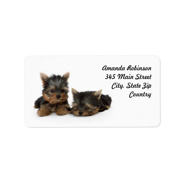 Etiqueta Cute Yorkshire Terrier cachorrinhos (Frente)