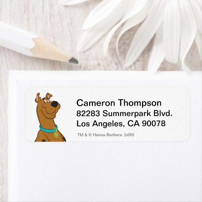 Etiqueta Cutro De Scooby-Doo Que Bonito (Insitu)