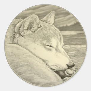 Etiqueta da arte de Shiba Inu do amante do cão da