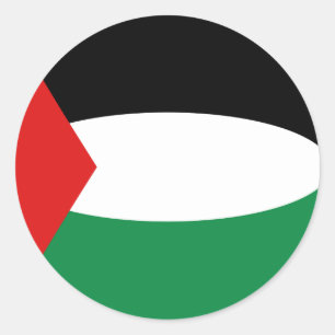 Etiqueta da bandeira de Palestina Fisheye