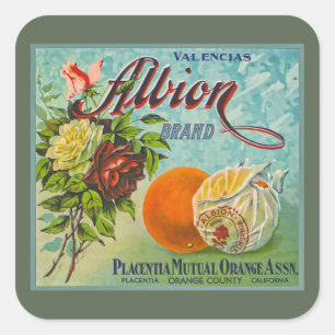 Etiqueta da caixa da fruta das laranjas de Albion