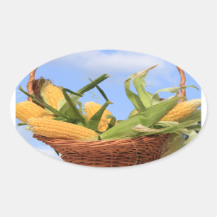 Etiqueta da espiga de milho