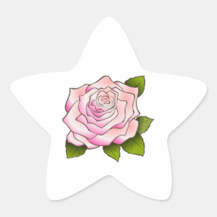 Etiqueta da estrela do desenho do rosa do rosa do