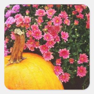 etiqueta da foto do instagram