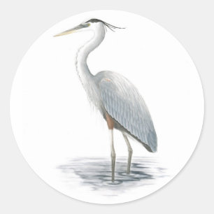 Etiqueta da garça-real de grande azul