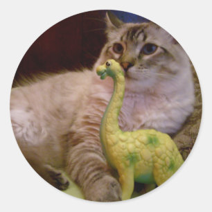 etiqueta da imagem 1 do gato e do dinossauro