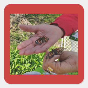 Etiqueta da liberação da borboleta