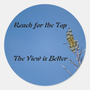 Etiqueta da mosca do dragão