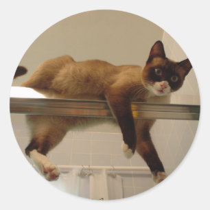 Etiqueta da panqueca