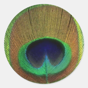 Etiqueta da pena do pavão