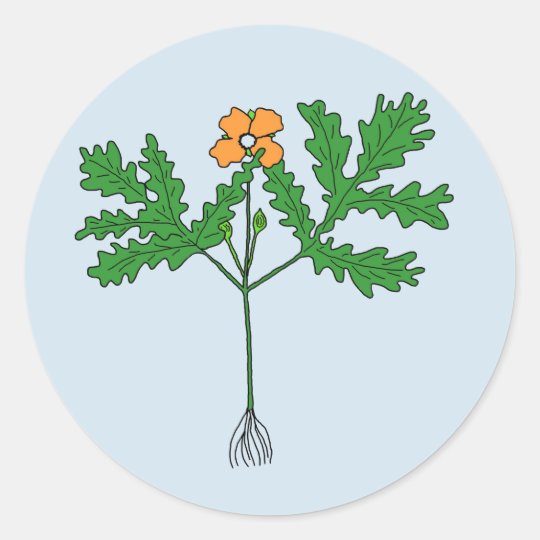 Etiqueta da planta da papoila