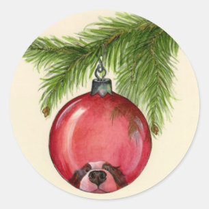 Etiqueta da reflexão de Berner