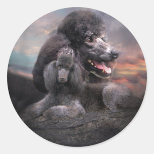 Etiqueta da rocha da caniche