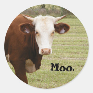 Etiqueta da vaca: "MOO. "
