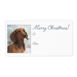 Etiqueta Dachshund Christmas Gift Stickers
