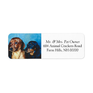 Etiqueta Dachsund Puppies Devolver Endereço Autocolante
