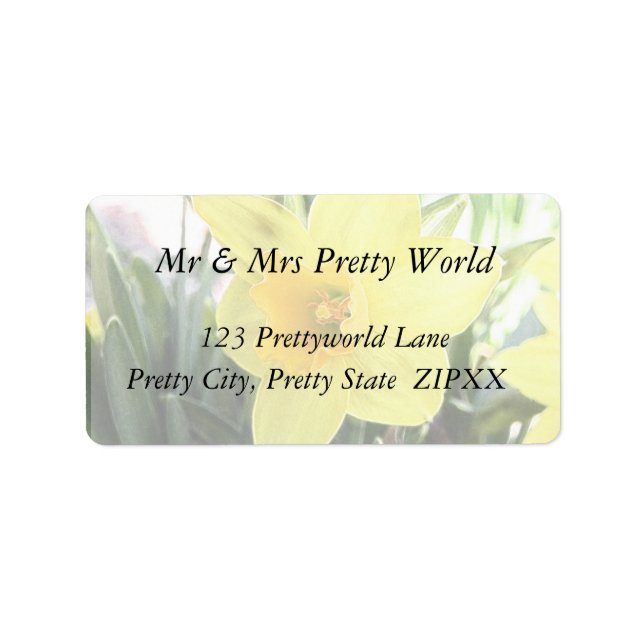 Etiqueta Daffodil Amarelo alegre (Frente)