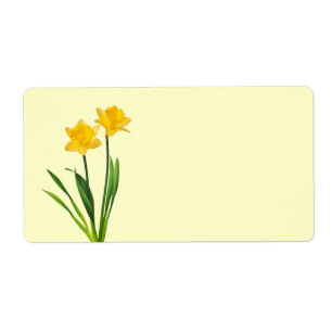 Etiqueta Daffodils amarelos do primavera - modelo do