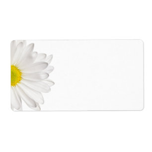 Etiqueta Daisies Personalizadas de Fundo de Daisy Flower Br