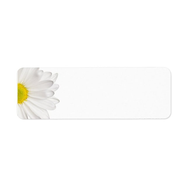 Etiqueta Daisies Personalizadas de Fundo de Daisy Flower Br (Frente)