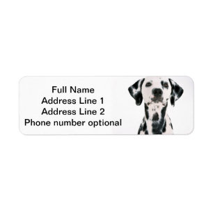 Etiqueta Dalmatian do endereço