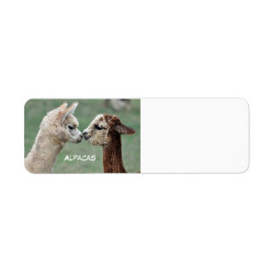 Etiqueta das alpacas