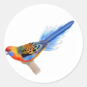 Etiqueta de Adelaide Rosella
