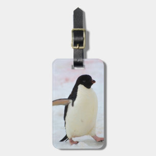 Etiqueta De Bagagem A Antártica. Ilha de Petermann. Pinguim de Adelie