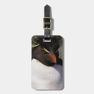 Etiqueta De Bagagem A Antártica, ilhas Secundário-Antárcticas, 5 su