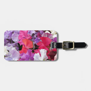 Etiqueta De Bagagem A ervilha doce do rosa, a roxa & a branca floresce