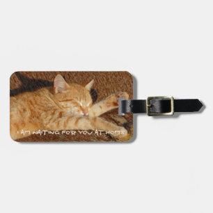 Etiqueta De Bagagem A foto do animal de estimação personalizado
