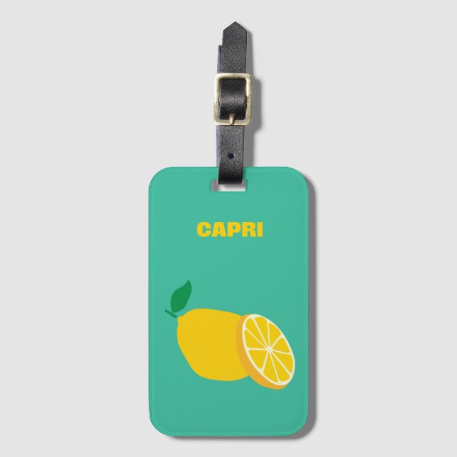 Etiqueta de Bagagem Acrílica Capri (Frente Vertical)