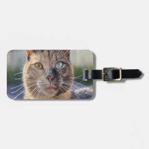 Etiqueta De Bagagem Adicionar Foto de Gato Personalizar