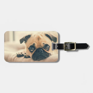 Etiqueta De Bagagem Adicione seu próprio Viagem de Foto do Cachorro