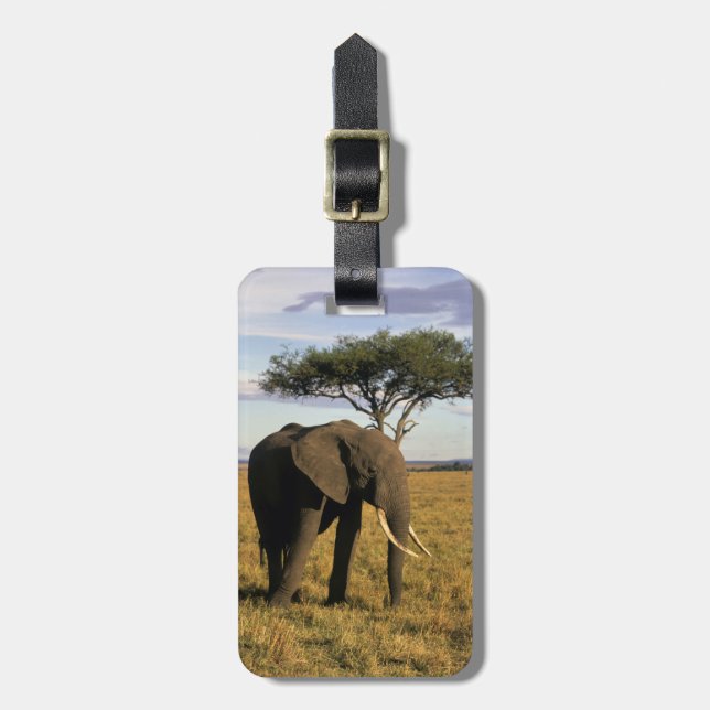 Etiqueta De Bagagem África, Quênia, Maasai Mara. Um elefante no (Frente Vertical)