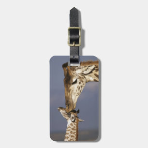 Etiqueta De Bagagem África, Quênia, Masai Mara. Girafas (Giraffa