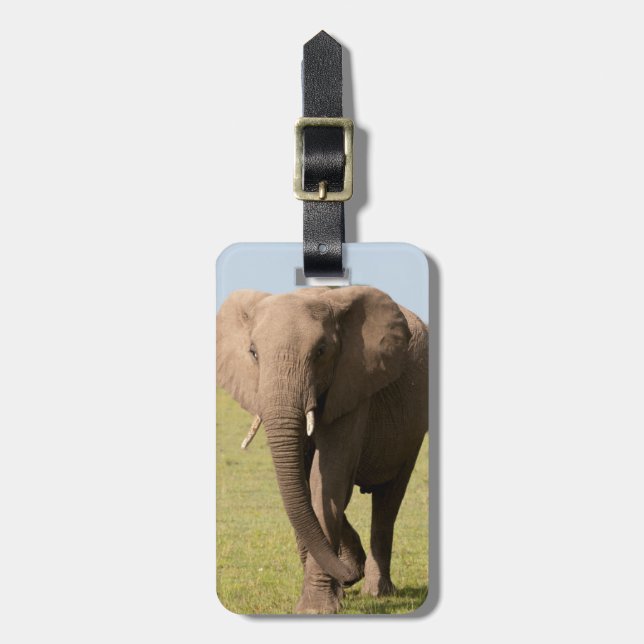 Etiqueta De Bagagem Afro-Elefante (Loxodonta Africana), Maasai (Frente Vertical)