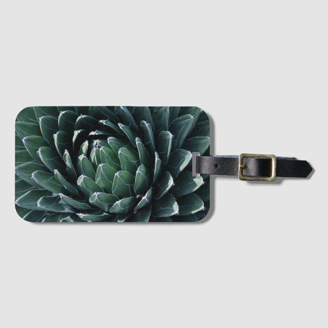 Etiqueta De Bagagem Agave verde (Frente Horizontal)