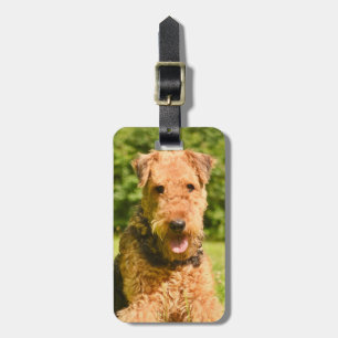 Etiqueta De Bagagem Airedale Terrier Puppy Dog